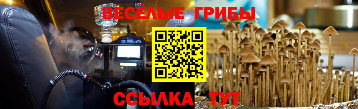 Псилоцибиновые грибы мицелий Каспийск